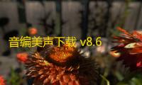 音编美声下载 v8.6.9 人气热度 ：11℃